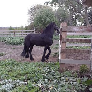 Meet your Posher, Alejandro